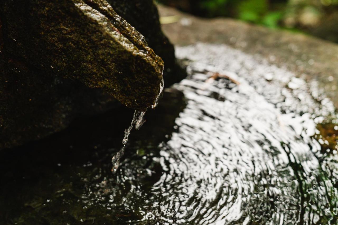ホテル 修善寺温泉 ねの湯 対山荘 伊豆市 エクステリア 写真